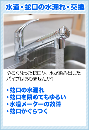 水道蛇口